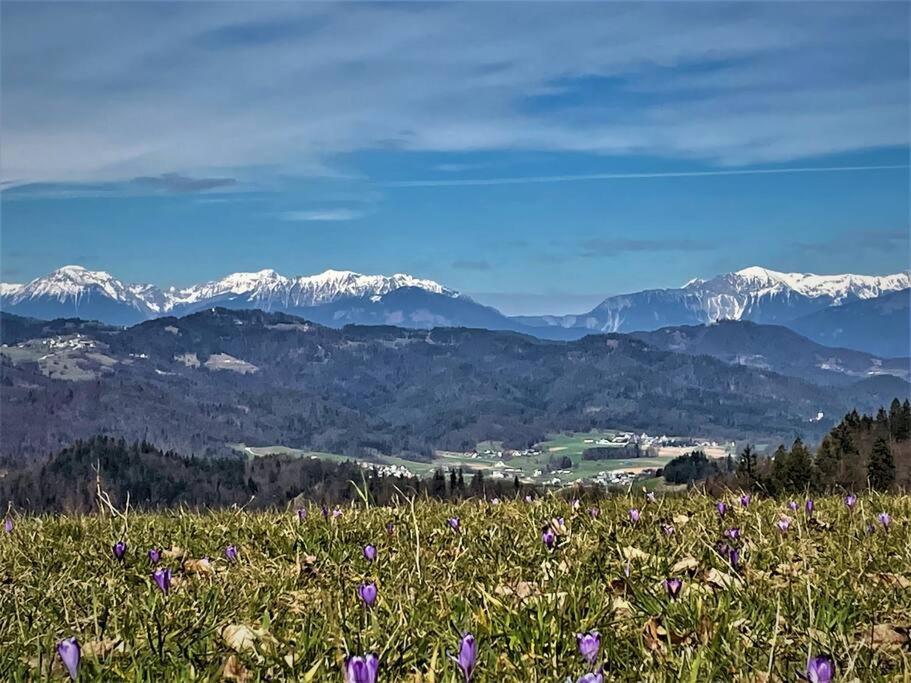 Ferienhaus Mr. Bens Škofja Loka